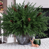 HyeFlora 19 Inch Christmas Norfolk Pine Stems, 12PCS Real Touch Faux Cedar Pine with 5PCS Big Pine Cones Branches, Artificial DIY Greenery Stems Plastic Picks for Vase Indoor Outdoor Home Garden Décor