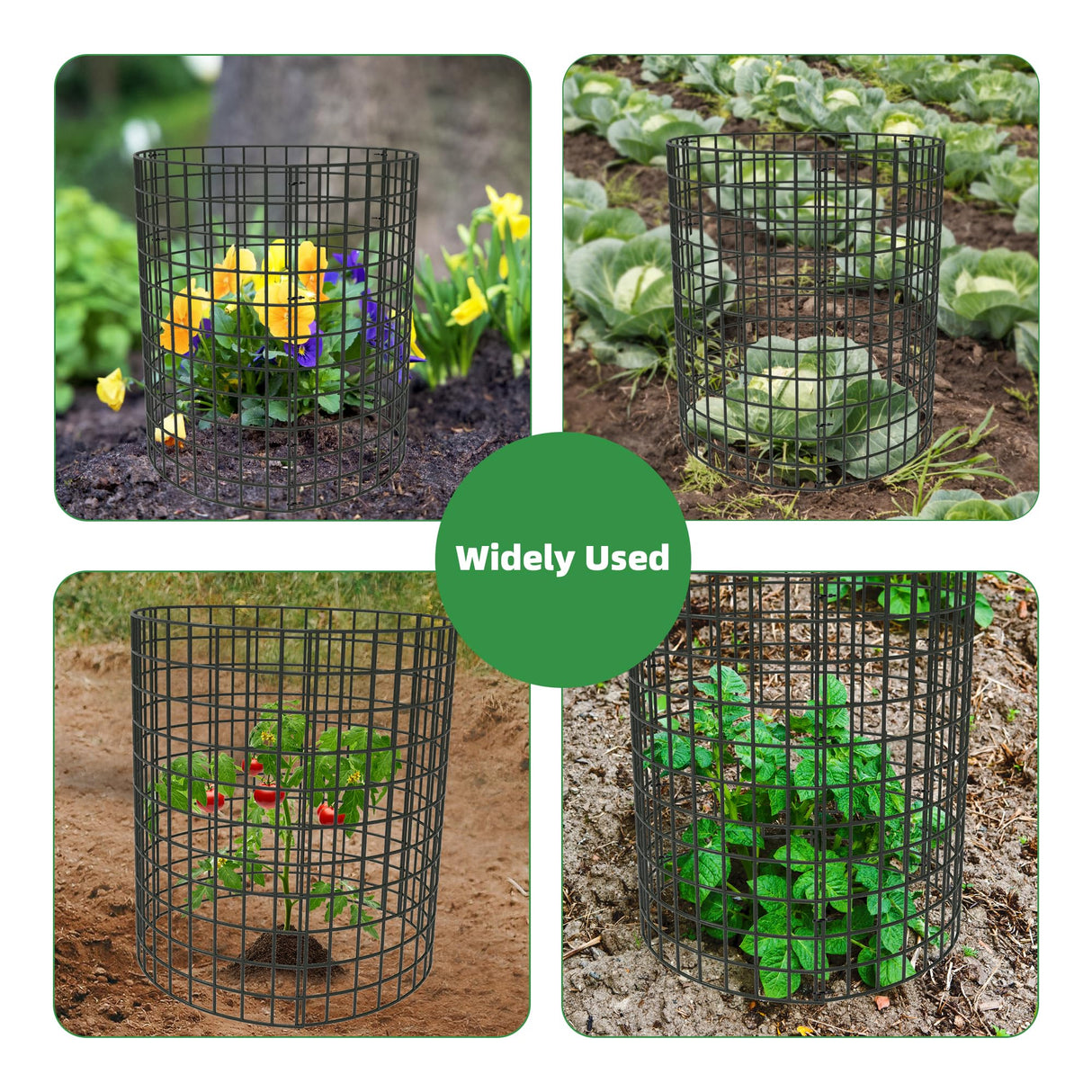 UNIFAMILY 12 Pcs Plant Protectors from Animals, 16x12IN Metal Plant Cage to Keep Animals Out, 4 Pack Garden Cages to Keep Animals Out, Garden Protection for Vegetables Chicken Wire Cage for Plants