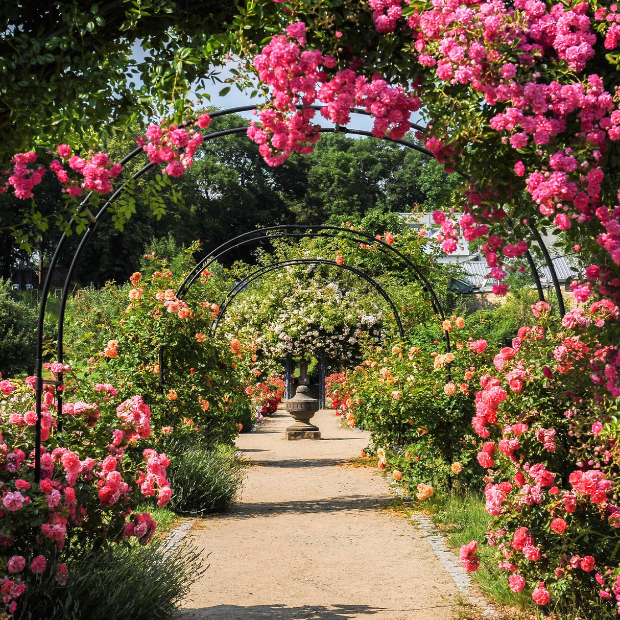 RUBFAC 94" Metal Garden Arch Trellis for Climbing Plants Outdoor, Garden Arbors and Arches, Wedding Arch Frame Archway for Balloons Pumpkin Vines Halloween Christmas Party Decoration, Black