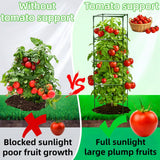 3 Pack Square Tomato Cages for Garden, 59 Inch Tall Heavy Duty Metal Tomato Plant Support Trellis, Adjustable Large Tomato Stakes for Outdoor Pots Climbing Plants, Vegetables, Cucumber