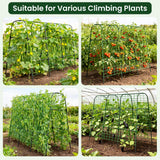 50"x48"Cucumber Trellis, Garden Arch Trellis for Climbing Plants Outdoor