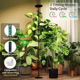 chiphy 85" Tall Grow Light for Large Indoor Plants, 60W Full Spectrum Plant Light with 4/8/12H Timer & Remote, 10-Level Dimmable, Height Adjustable, Ideal for Large Tall Plants & Indoor Trees