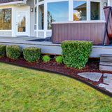 Worth Garden 10-Pack (34Ft Total) Galvanized Steel Landscape Lawn Edging - 8 in. H Bendable Metal Strips - Hammer-in 18-Gauge Flexible Black Edging Border - Yard Pathway Divider - Buckle Connection