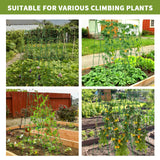 UrGROWA Cucumber Trellis 2 Pack,Foldable A-Frame Garden Trellis