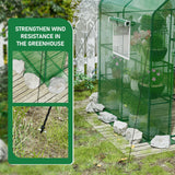 SPECILITE 56×56×78Inch Walk-in Greenhouse, Heavy Duty Small Plant House with Thicken PE Cover and Steel Frame, for Garden, Outdoors, Indoors, Green