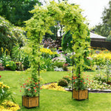 Heavy Duty Garden Arch Trellis for Climbing Plants Metal Garden Arbors