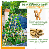 4ft Expandable Bamboo Teepee Trellis for Climbing Plants, Self-Standing Natural Bamboo Trellis for Plant Support, Folding Garden Trellis for Vines Flowers Vegetable Indoor Outdoor