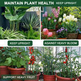 SYITCUN 6 Pack Peony Cages and Supports, 14" (W) x 32"(H) Plant Support, Rust-Proof Metal Plant Support Stakes for Outdoor&Indoor Plants