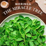 Hebhac Herbs Organic Moringa Capsules 120 Capsules 1000mg – Metabolism, & Immune Support Nutrient-Rich superfood | Non GMO and Gluten Free