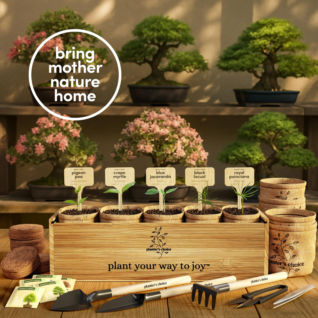 Planter's Choice Bonsai Tree Starter Kit - Unique Gifts for Women, Men - Christmas Gifts for Adults - Indoor Live House Plants - DIY Crafts for Adults Craft Kits - Hobby Gift for Gardening Lovers