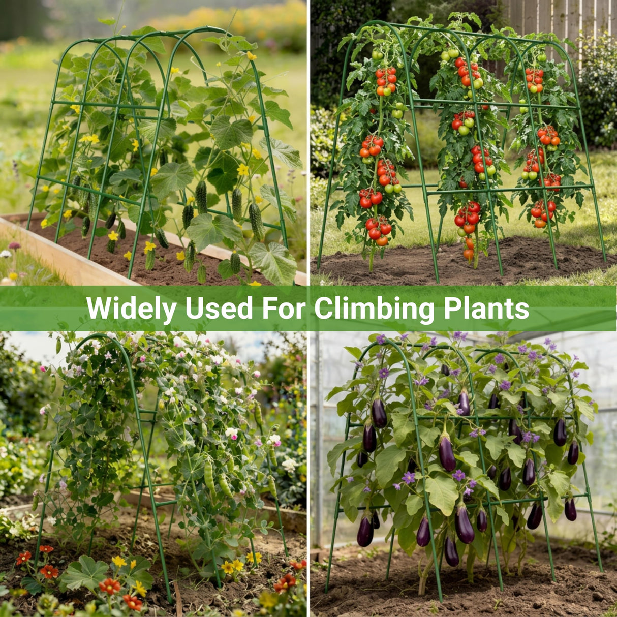Cucumber Trellis for Raised Bed, U-Shape Arch Metal Garden Trellis for Climbing Plants, Heavy Duty Plant Trellis Outdoor, Easy Assembly Rustproof Trellis for Vines (U Frame Trellis)