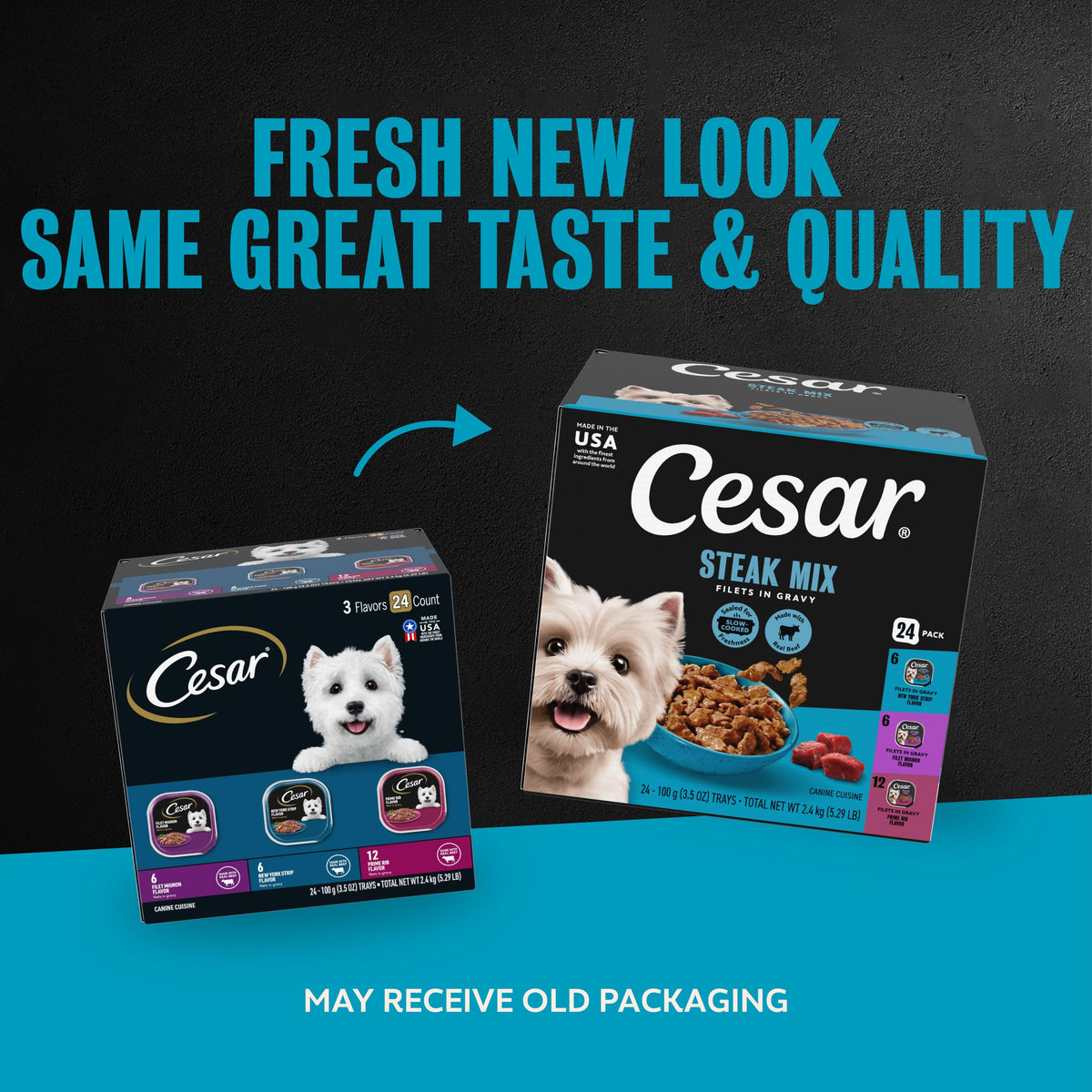 Cesar Filets in Gravy Wet Dog Food, Steak Mix Variety, 3.5 oz, 24 Count