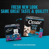 Cesar Filets in Gravy Wet Dog Food, Steak Mix Variety, 3.5 oz, 24 Count