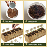 Planter's Choice Bonsai Tree Starter Kit - Unique Gifts for Women, Men - Christmas Gifts for Adults - Indoor Live House Plants - DIY Crafts for Adults Craft Kits - Hobby Gift for Gardening Lovers