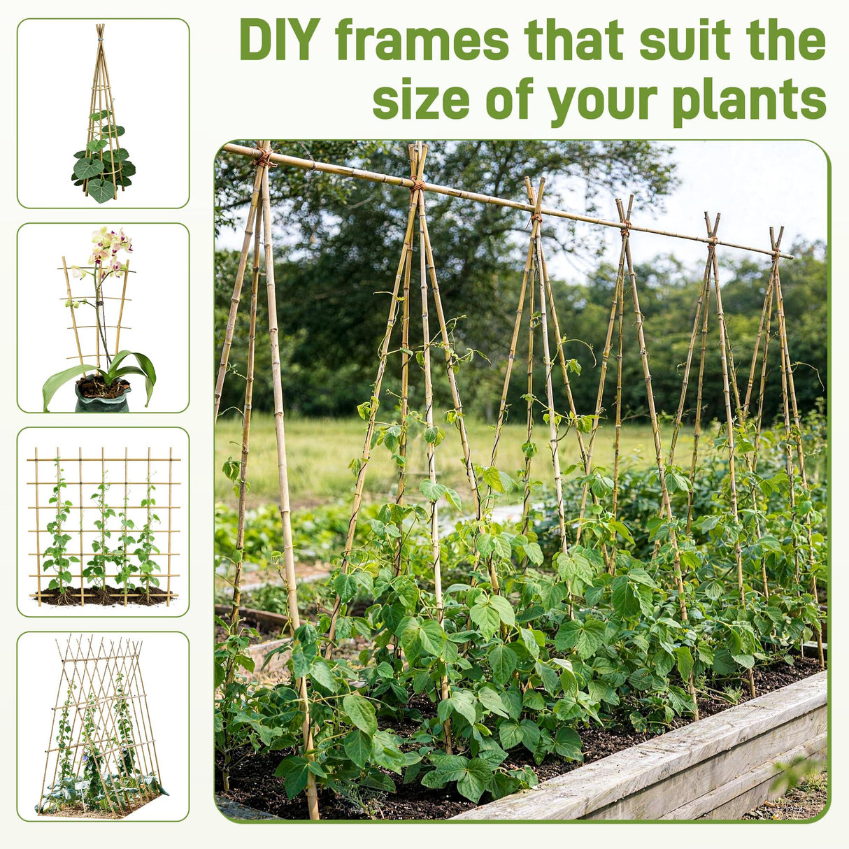 0.32”-0.4"/ 4 Feet Garden Stakes, Natural Bamboo Sticks Plant Stakes for Indoor and Outdoor Plants，Poles for Tomatoes, Beans, Potted Plants(50Pcs)