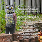 Owl Decoy to Scare Birds Away Scarecrow Fake Owl with Rotating Head, 16"