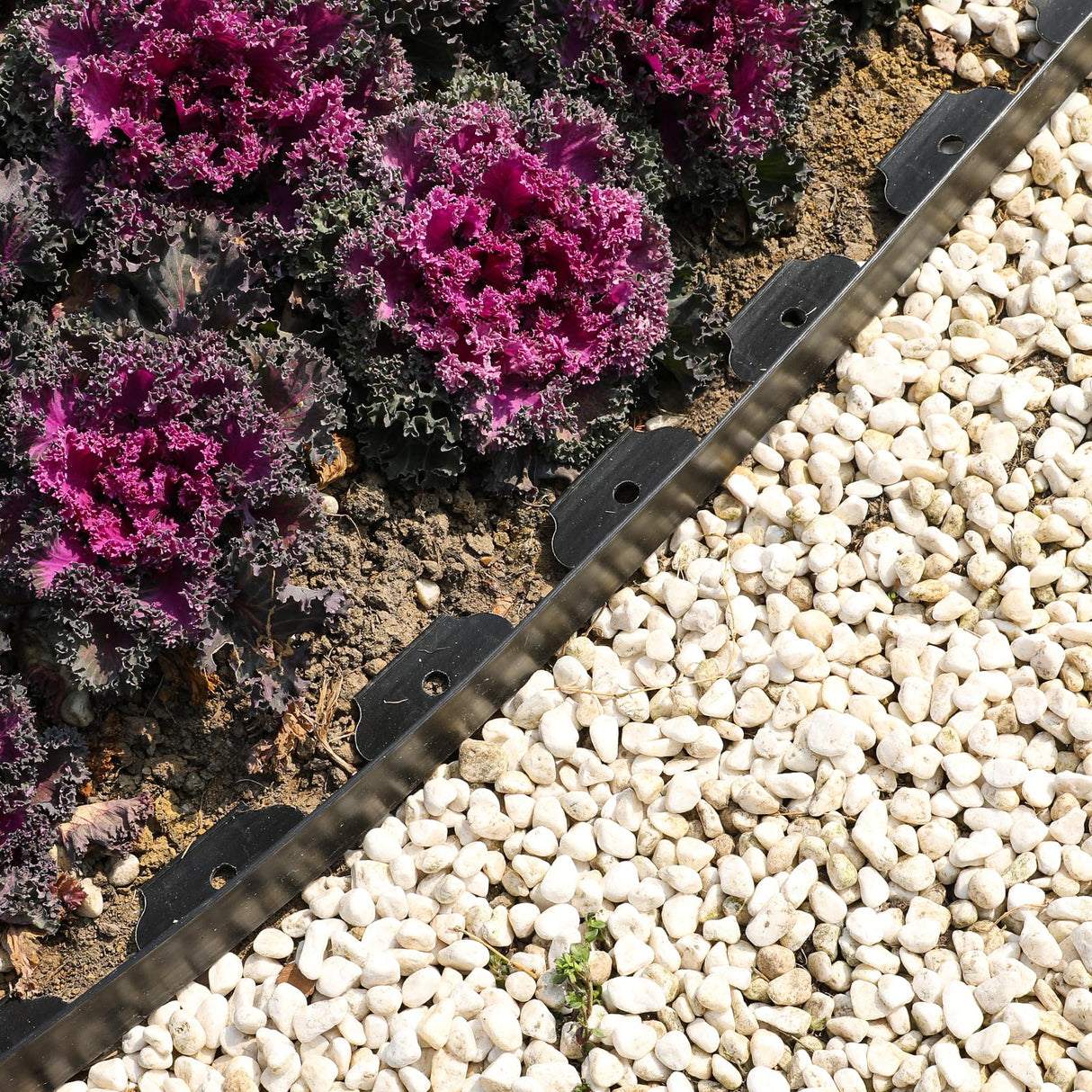 1.5 Inch x 66FT Garden Edging Border,Landscaping with 90pcs Spikes