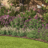 EasyFlex Aluminum No-Dig Landscape Edging for Landscape or Paver Projects, 10 Metal Edging Pieces with Spikes, 50 Feet, Black