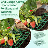 15Packs Strawberry Plant Support, Strawberry Plant Stand Holder Reusable Strawberry Plant Protector Greenhouse Strawberry Trellis Accessories Strawberry Planter for Strawberry Garden Plants