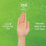 Odorless Aged Garlic Pills, 6,000mg Per Serving, 500 Softgels – 24:1 Garlic Oil Extract – Fresh Allium Sativum Bulb Source – Heart & Immune Antioxidant Supplements – Non-GMO