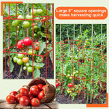Colingmill 8 Pack Tomato Cages 39 Inch (H) Heavy Duty Square Tomato Cages Powder Coated Steel Plants Support Garden Trellis Stakes for Cucumber, Peas, Vegetables Climbing Plants