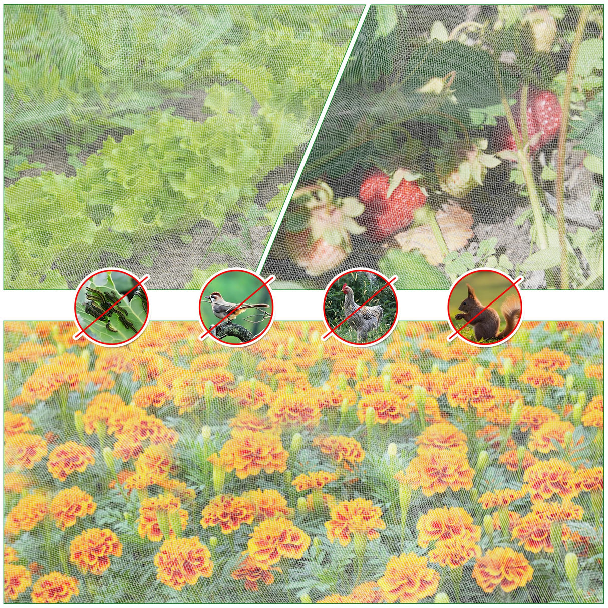 Garden Netting for Raised Beds, Plant Covers Garden Protection Bird Netting