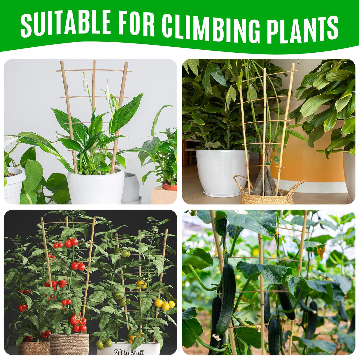 SWANGSA 6 Pack 3Ft Bamboo Trellis for Climbing Plants,35.5 Inch Fan-Shaped Bamboo Plant Trellis with 100pcs Twist Ties for Outdoor and Indoor Potted Plants Garden Stakes