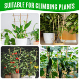 SWANGSA 6 Pack 3Ft Bamboo Trellis for Climbing Plants,35.5 Inch Fan-Shaped Bamboo Plant Trellis with 100pcs Twist Ties for Outdoor and Indoor Potted Plants Garden Stakes