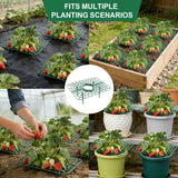 15Packs Strawberry Plant Support, Strawberry Plant Stand Holder Reusable Strawberry Plant Protector Greenhouse Strawberry Trellis Accessories Strawberry Planter for Strawberry Garden Plants