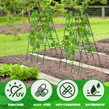 No Assembly Required Cucumber Trellis,2 Pack Trellis for Cucumbers,Outdoor Raised Bed Climbing Plant Support,A-Frame Garden Frame,Used for Vegetables,peas,Tomatoes,Squash,Melon and Fruit Frame