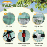 Devoko Walk-in Greenhouse, Instant Pop Up Green House for Outdoors with Zippered Door and 2 Roll-up Windows, PE Cover, Portable and Easy Assemble (Green, 8x6 Feet)