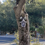 Aflowa Tree Faces Bird Feeder,Funny Old Man,Large