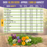 35 Medicinal & Tea Herb Seeds Variety Pack for Indoor & Outdoors. 16,335+ Non-GMO Heirloom Garden Seeds: Anise, Bergamot, Borage, Cilantro, Chamomile, Dandelion, Rosemary Seeds & More