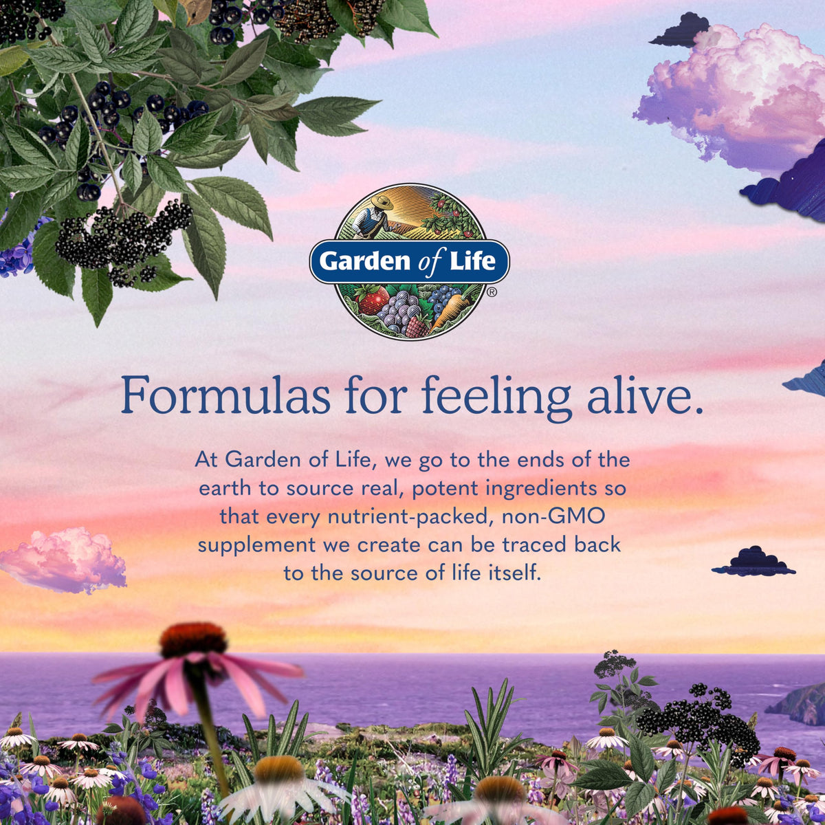 Garden of Life Vitamin Code Raw D3 5000 IU, 60 Vegetarian Capsules
