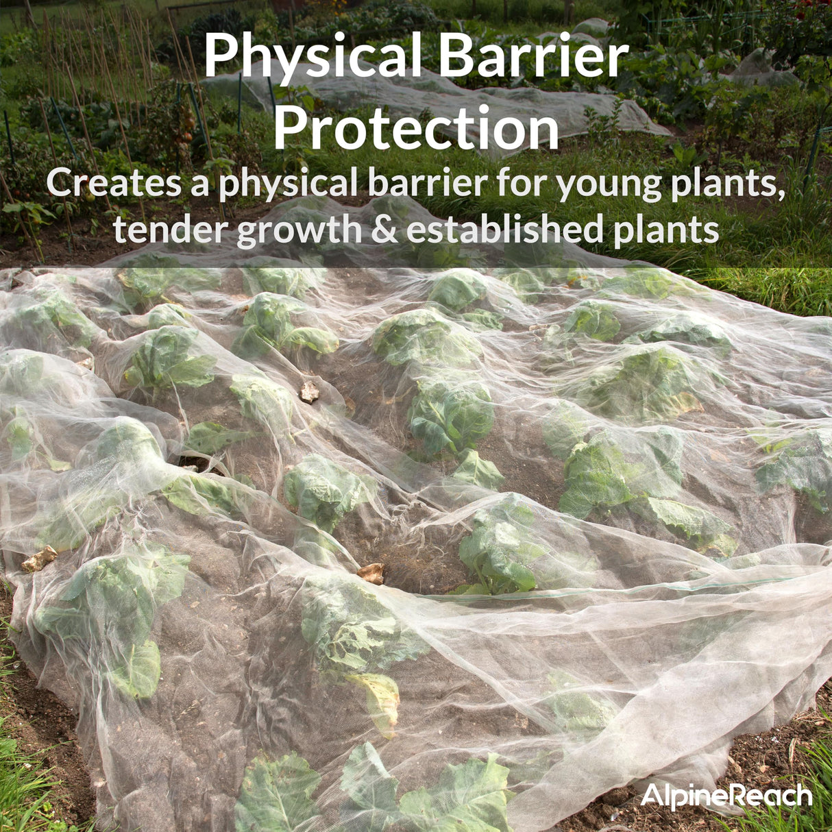 AlpineReach Garden Netting Ultra Fine Mesh 10 x 34 ft - Durable Protection Barrier Net Cover for Vegetable Plants Fruits Flowers Crops Greenhouse Row Cover Raised Bed