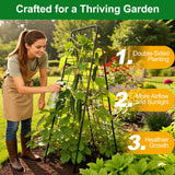 WAENLIR 50x17inch Cucumber Trellis Tomato cage with Dense Steel Grid–A-Frame Heavy Duty Metal Trellis for Raised Beds, Cattle Panels for Garden Trellis for Climbing Plants Outdoor (Black, 50x17inch)