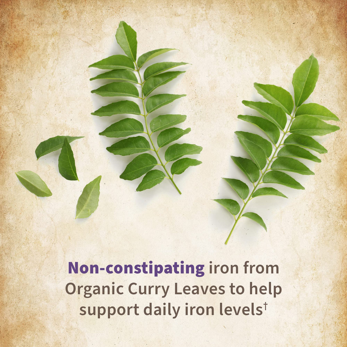 Garden of Life Organics Prenatal Vitamins - 30 Tablets, Prenatal Once Daily Whole Food Vitamins for Women with Folate not Folic Acid, Vitamin D3, Iron, Vegan One a Day Prenatal Multivitamin