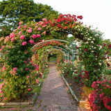 RUBFAC 94" Metal Garden Arch Trellis for Climbing Plants Outdoor, Garden Arbors and Arches, Halloween Archway for Pumpkin Balloon Rose Vines Wedding Christmas Birthday Party Decorations, Army Green