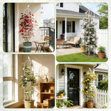 6ft Garden Obelisk Trellis for Climbing Plants-Rustproof Metal Pipe with Heavy Duty Plastic Coated, Garden Outdoor Indoor Potted Plant Support for Clematis Vine Jasmine Support （White）