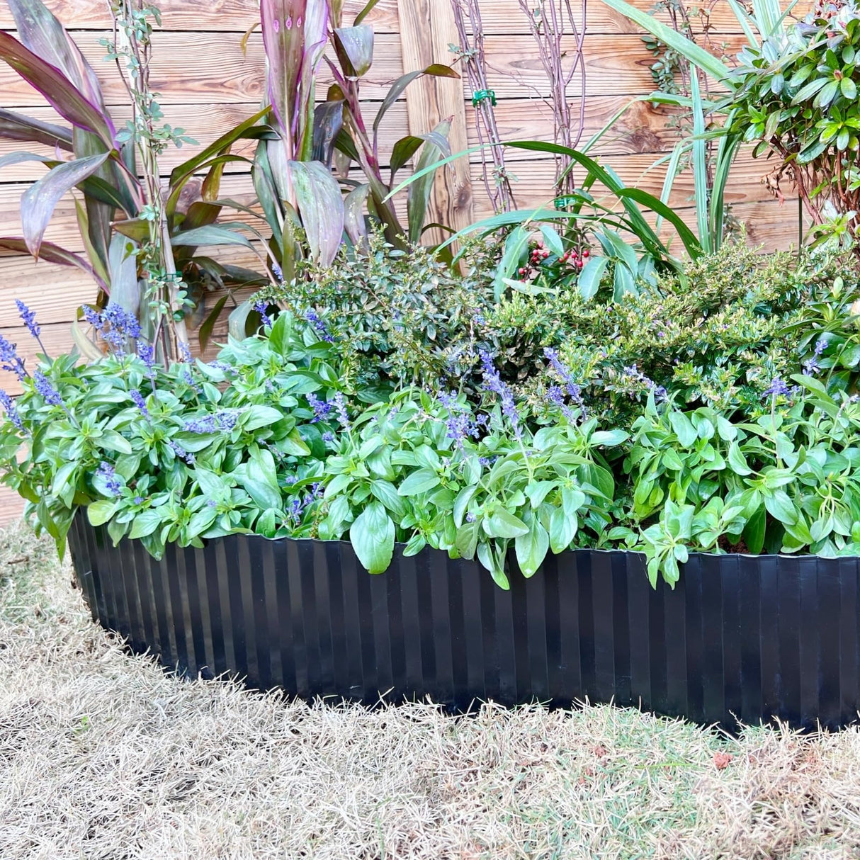 Anleolife Galvanized Steel Garden Landscape Edging Roll, 60FT x 8" Black