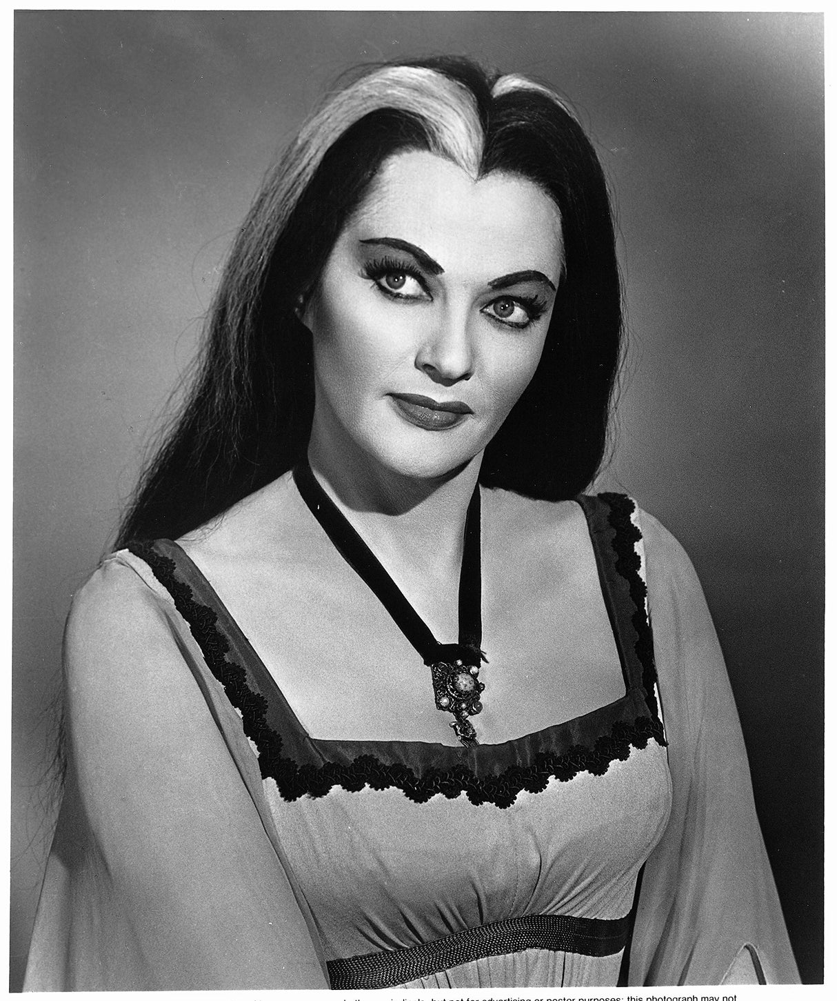 The Munsters: The Complete Series [DVD]