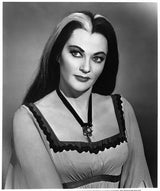 The Munsters: The Complete Series [DVD]