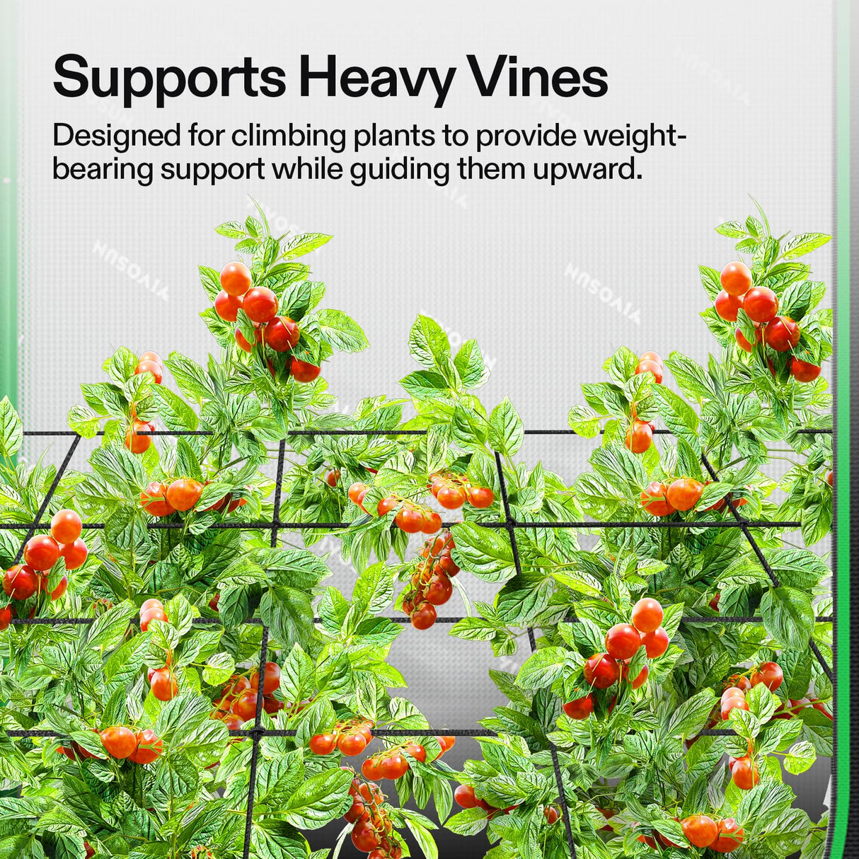 VIVOSUN 5 x 5Ft. Elastic Trellis Netting with 4 Hooks for Climbing Plants, Vegetables, Fruits, and Flowers, 1-Pack