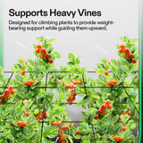 VIVOSUN 5 x 5Ft. Elastic Trellis Netting with 4 Hooks for Climbing Plants, Vegetables, Fruits, and Flowers, 1-Pack