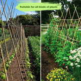 Jollybower 1/2" D 4.75 Feet Bamboo Stakes 50 Pack, Thicker Heavy-Duty Plant Stakes, Natural Garden Stakes for Bean, Tomato, Bean, Flowers,Trees Potted and Climbing Plant Support