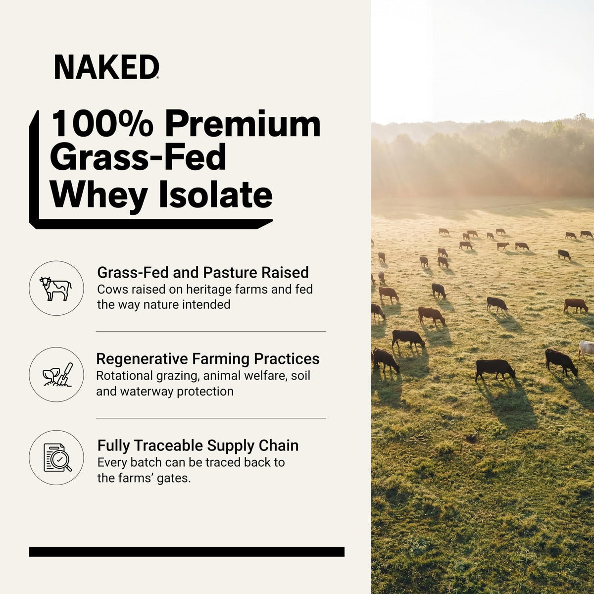NAKED Whey Isolate Protein - Only 2 Ingredients, 30g Grass-Fed Protein, Zero Carb, Unflavored, Undenatured, Non-GMO, No Soy, Gluten-Free, No Preservatives - 28 Servings