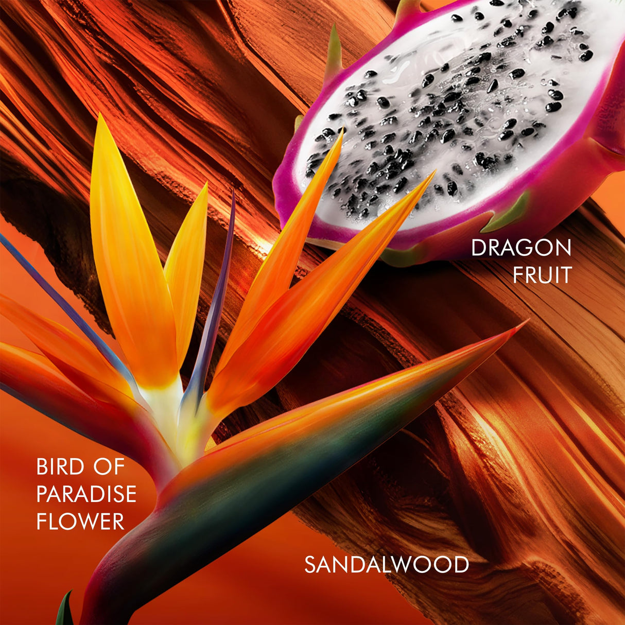 Escada Bali Paradise Eau de Toilette 3.3 fl oz