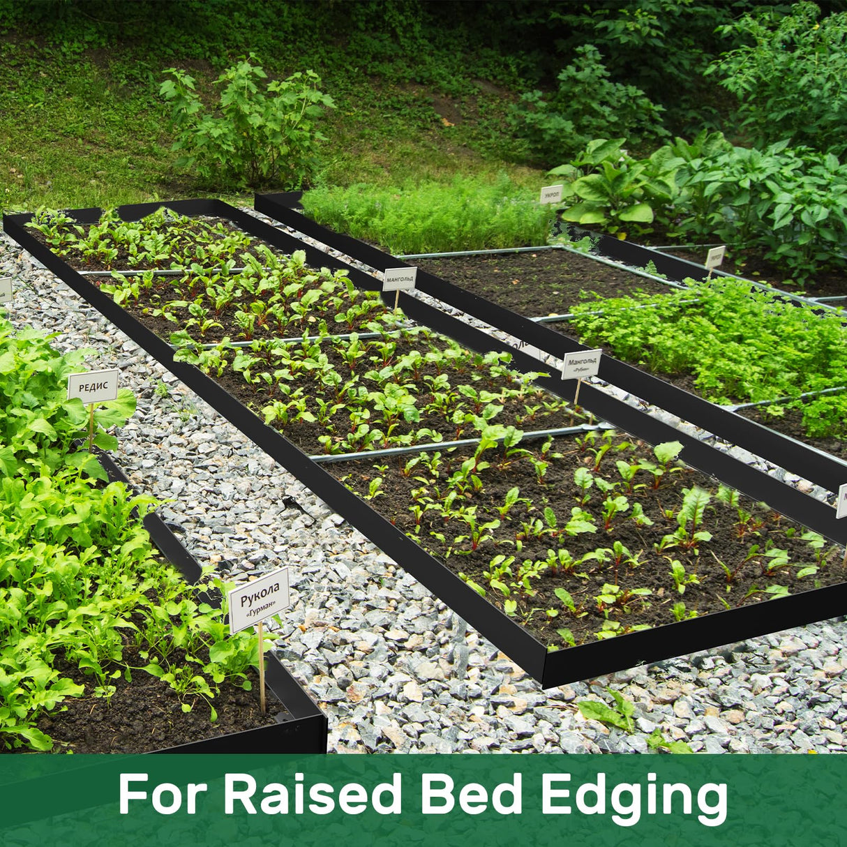 AGTEK Garden Edging 98FT Landscape Edging Kit 3 Inch Height with 60 Stakes