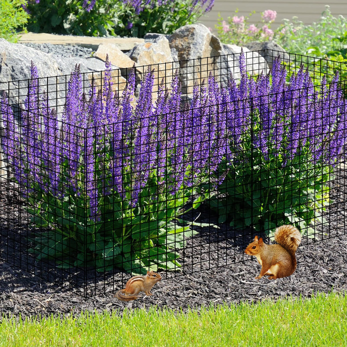 15 PCS Round Plant Protector from Animals, 5 Pack 12'' x 12'' Metal Plant Cages， Metal Mesh to Keep Animals Out, Garden Protection Bunny Barricades, Wire Plant Protectors for Rabbits Chicken Duck