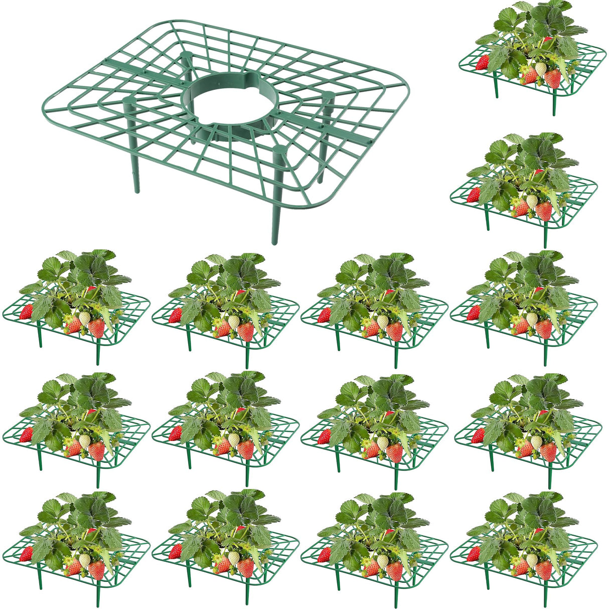 15Packs Strawberry Plant Support, Strawberry Plant Stand Holder Reusable Strawberry Plant Protector Greenhouse Strawberry Trellis Accessories Strawberry Planter for Strawberry Garden Plants